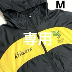 つつけん様専用です