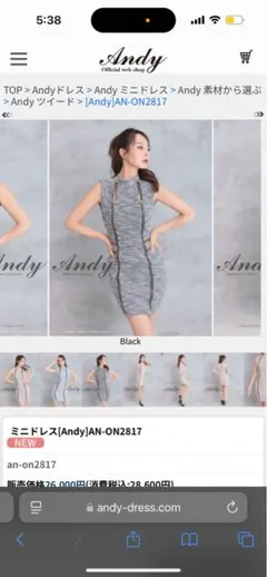 ミニドレス[Andy]AN-ON2817 グレー(クリーニング済み)