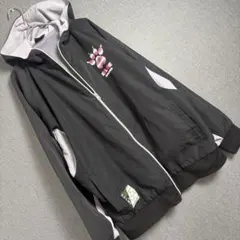 Item thumbnail for item 1abdb35e-b6c6-4655-bcf5-b4d648faf8b3