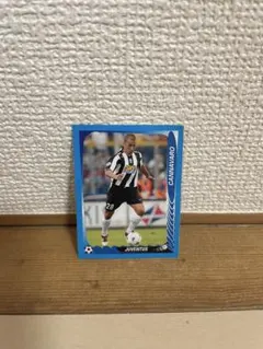 カンナヴァーロ ユベントス PANINI Grandi Campioni