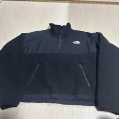 ザ・ノース・フェイス　フリース プルオーバーデナリジャケットLサイズ