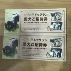 愛犬の駅　ドッグラン一頭無料券　2枚セット　1のサムネイル