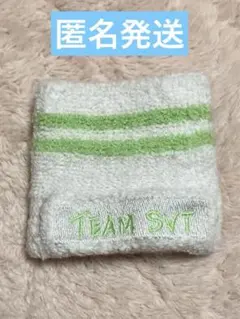 ※使用済み※ SEVENTEEN リストバンド ジョンハン