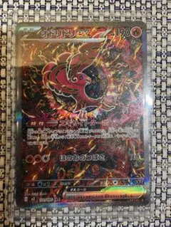 2026年最新】オドリドリex SARの人気アイテム - メルカリ