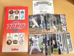 カルビー 2025 プロ野球チップス カードホルダー カード 40枚 セット