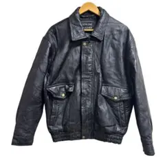 Item thumbnail for item d5ec4ec9-f86b-490b-82d6-f35ed6271b62