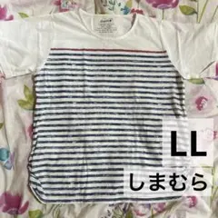 Item thumbnail for item 4894b475-f361-457a-a020-b87328404b3c