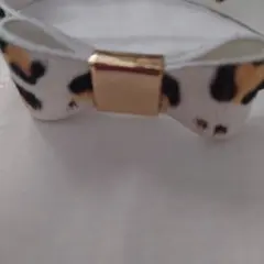 Item thumbnail for item b45dd0e1-e4c6-42b8-8e6e-31d9618173e8