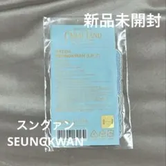 SEVENTEEN CARAT LAND ケレン スングァン ワッペン