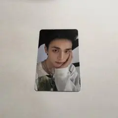 StrayKids dominATE celebrATE オフライングッズ特典