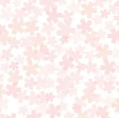 straykids skzoo スキズ ネイルパーツ リノ リービット