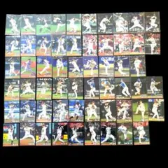 プロ野球チップスカード 2025