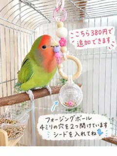 10〗インコ 文鳥 鳥おもちゃ バルサ バードトイ フォージングトイ