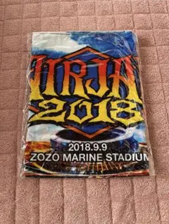 2026年最新】Hi-STANDARD タオルの人気アイテム - メルカリ