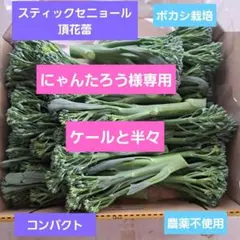 にゃんたろう様専用です！ボカシ栽培の農薬不使用スティックセニョール頂花蕾とケール