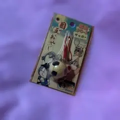 ゲゲゲの鬼太郎　地域限定　サッカー 目玉おやじ☆平成レトロ