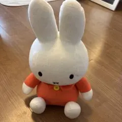 미피 박제 오렌지 옷
