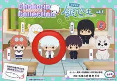 銀八先生 銀魂 ちょこりん 坂田銀八 坂田銀時