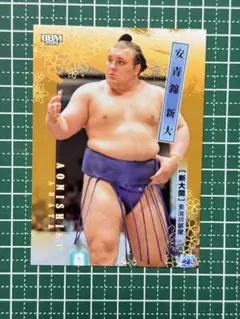 Item thumbnail for item 156ae980-0c55-4b5f-b20b-f99e20a081f2