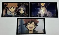 家庭教師ヒットマンREBORN! クリアカード　ツナ　セット