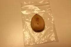 Item thumbnail for item 654bc089-350f-48f5-a7aa-2e46611be05e