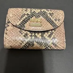 COACH ヘビ柄レザー 名刺入れ