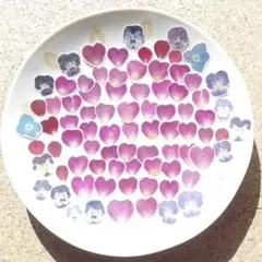 Item thumbnail for item ba8d98bb-b684-45f2-a23c-9be2153404e9