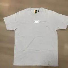 Item thumbnail for item 654a7a6b-3b89-4fe8-a3dc-af05bb888d8a