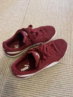 Puma スニーカー　25.5cm