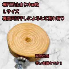 Item thumbnail for item d2ab2f64-e134-4861-bfc1-577338b7a878