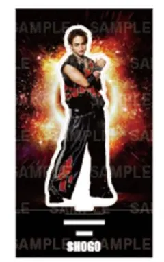 岩谷翔吾 THE REASON アクスタ