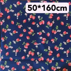 Item thumbnail for item 84d8c3e8-80e6-4287-a4d4-164a4bc47ad0