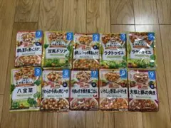離乳食セット 10種類