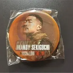 ハイロー 缶バッチ メンディー