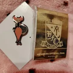 Item thumbnail for item 6530b35f-82de-436a-8451-e70530354fda