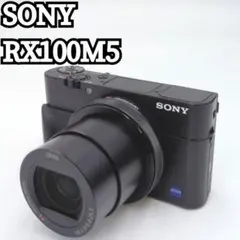 2025年最新】sony ソニー cyber-shot dsc-rx100m5の人気アイテム