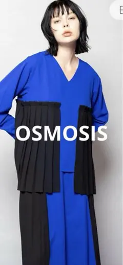 OSMOSIS レイヤードプリーツブラウスのサムネイル