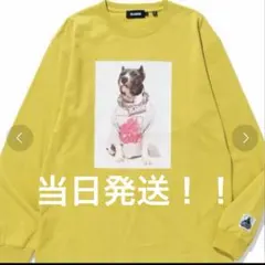 美品 XLARGE イエロー 長袖カットソー XL