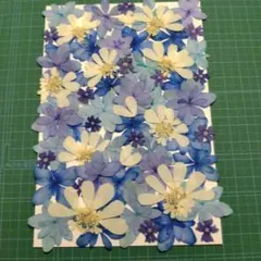 hidamari*様 リクエスト 3点 まとめ商品