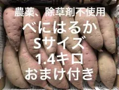 【農薬不使用】紅はるか　食べ切り　Sサイズ　さつまいも　おまけ付き