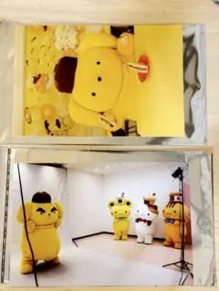 ポムポムプリン ピューロ ポストカード 2枚セット
