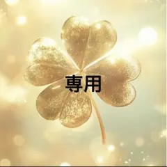 みゆみゆ様 リクエスト 2点 まとめ商品