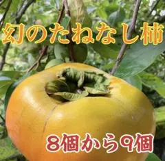 幻のたねなし柿　8個〜9個入り 29