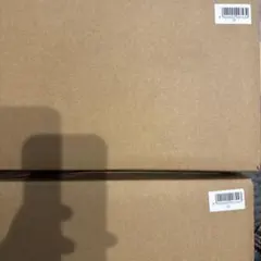 2点セット Pokemon ファイアレッド リーフグリーン 特別版