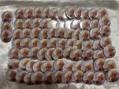 イキヅライブ！ 1st ガシャ ガチャ 缶バッジ 金澤 奇跡 ミラクル 45点