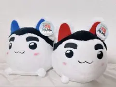 犬福 すくすく クイズ&バラエティ Amazon | すくすく 犬福 | ゲーム