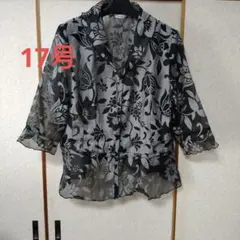 Item thumbnail for item 471b5c70-121d-4fb9-951a-5bc8402fcf96