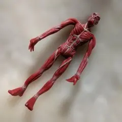 Item thumbnail for item c9556a37-2eba-4c85-b2ef-5f3e2942cb4b