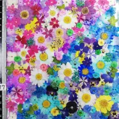 nene゜・*:.。❁様 リクエスト 2点 まとめ商品