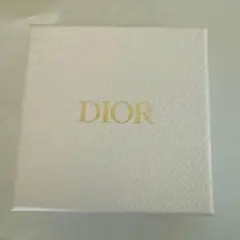 新品未使用 DIOR ノベルティ ルージュ&ネイルセット
